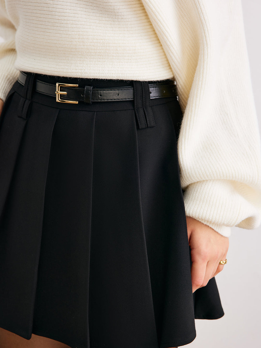 Pleated Mini Skirt Without Belt — women's skirts, back view