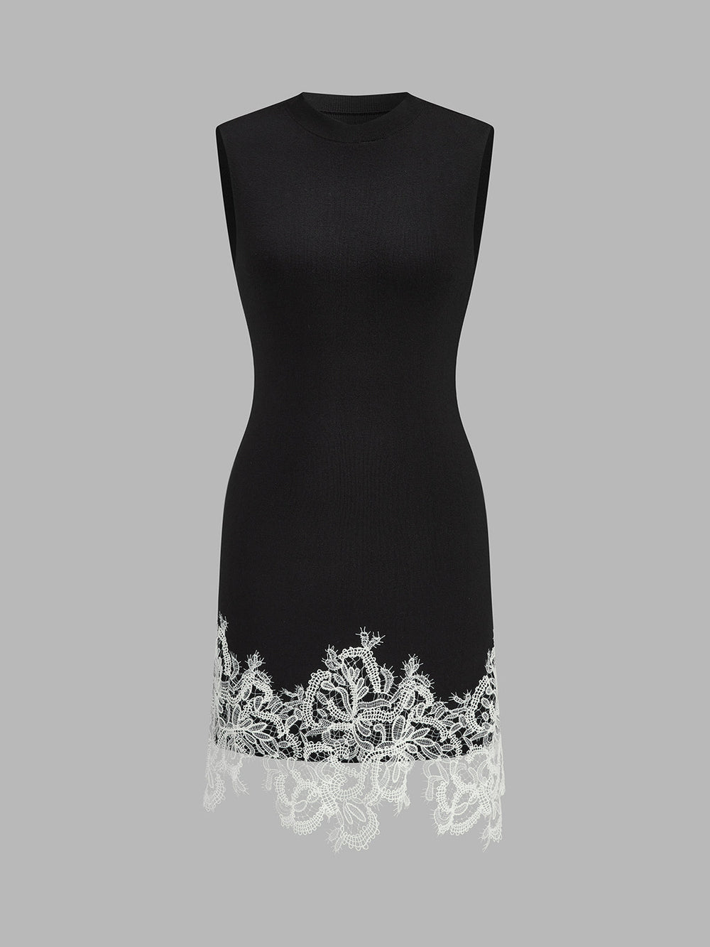 Sleeveless Lace Hem Bodycon Mini Dress — women's sweater dresses, back view