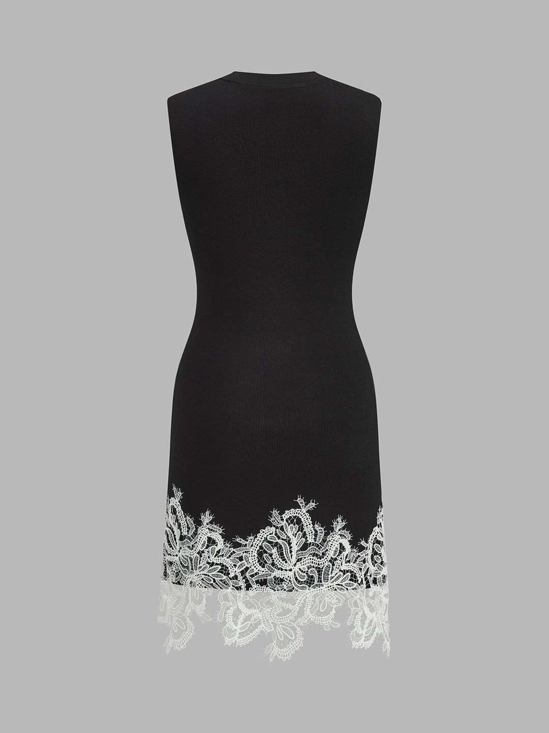 Sleeveless Lace Hem Bodycon Mini Dress