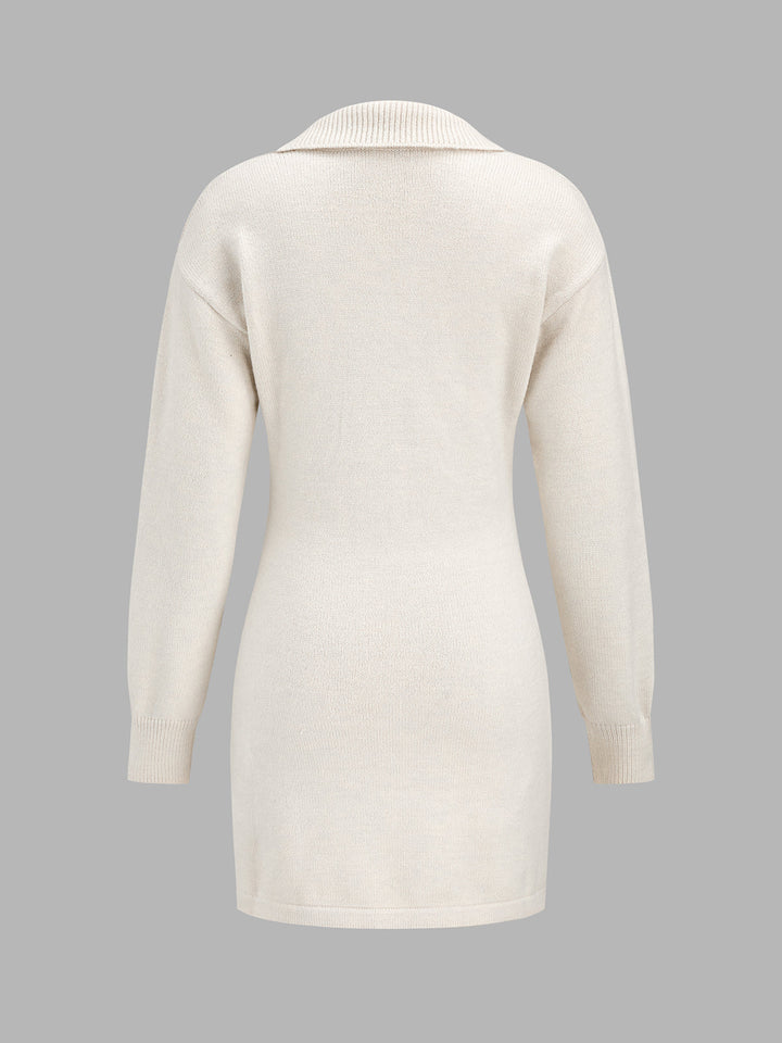 Floral Applique Polo Knit Mini Dress