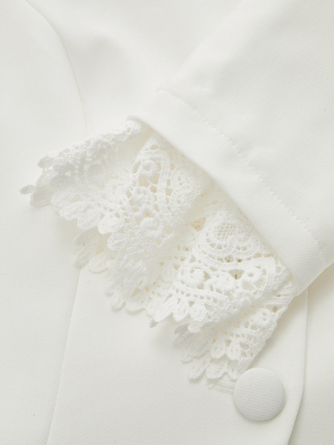 Lace Cuff Stand Collar Fitted Jacket