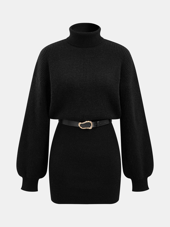 Belted Turtleneck Knit Mini Dress