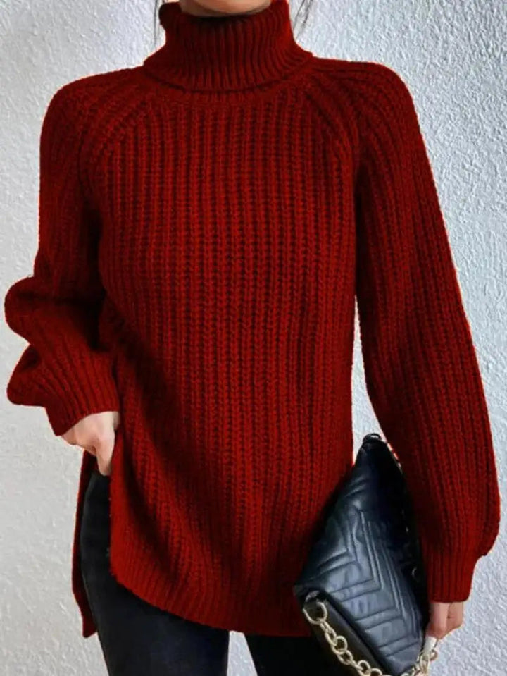 Mia Comfortable Turtleneck Long Sweater — product view