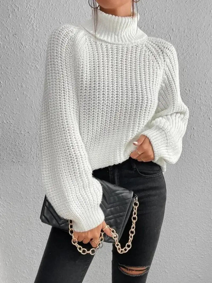 Mia Comfortable Turtleneck Long Sweater — alternate view