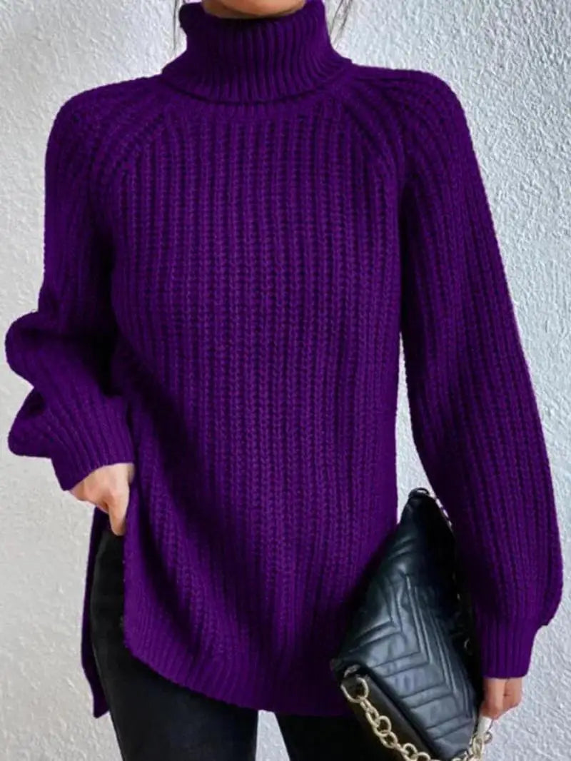Mia Comfortable Turtleneck Long Sweater — product view