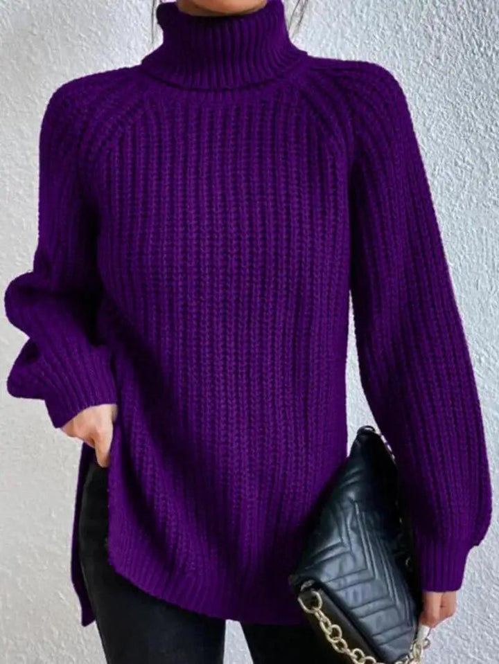 Mia Comfortable Turtleneck Long Sweater — product view