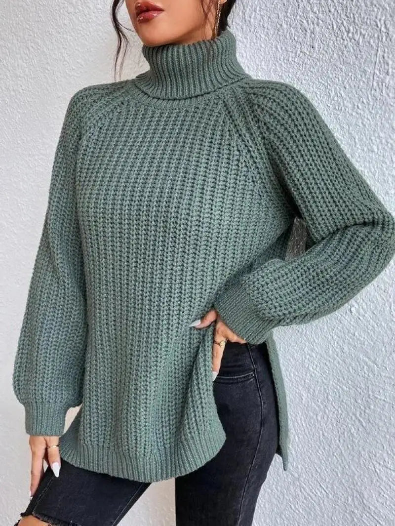 Mia Comfortable Turtleneck Long Sweater — product view