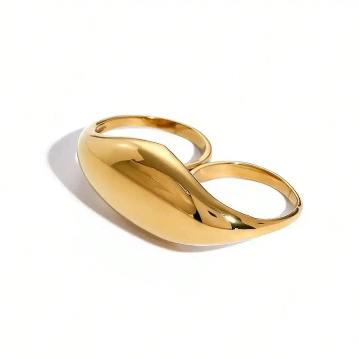 Top-down view of the double band ring